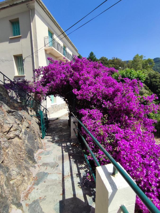 La Vallicella Farinole Luaran gambar
